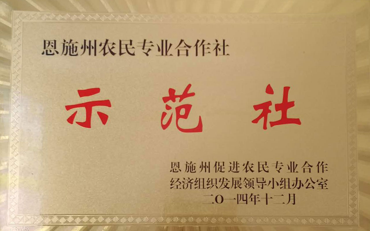 2014農(nóng)民專用合作社示范社.jpg