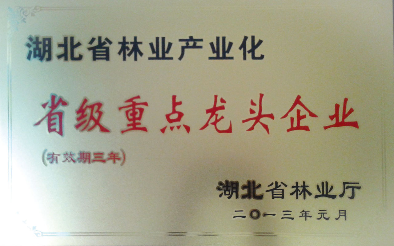 2013林業(yè)省級(jí)重點(diǎn)龍頭企業(yè)_.jpg 2013林業(yè)省級(jí)重點(diǎn)龍頭企業(yè)_.jpg