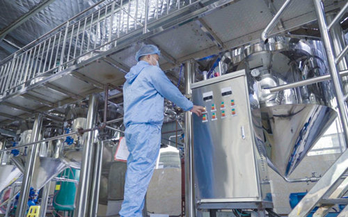 山茶油生產(chǎn)