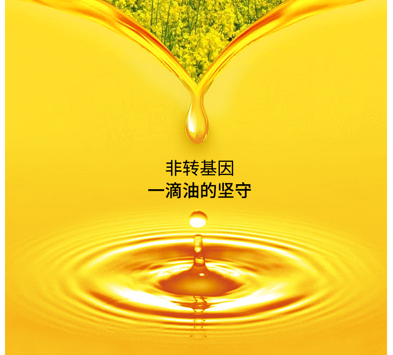 菜籽油詳情_04.jpg