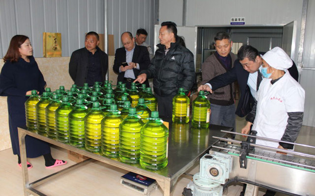 2017年3月8日省林業(yè)廳產(chǎn)業(yè)辦視察