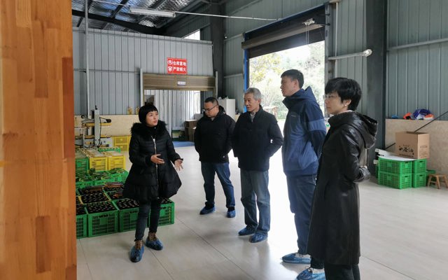 2021年12月28日中南民大教授、州發(fā)改委領(lǐng)導(dǎo)到廠(chǎng)里視察