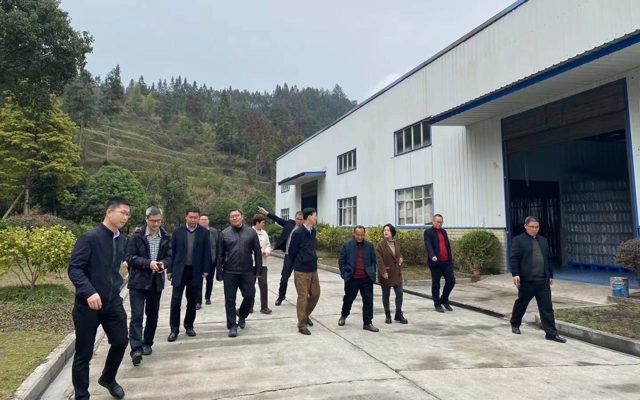 2023年3月7日省林業(yè)局黨組書記、局長(zhǎng)王昌友一行到來鳳調(diào)研