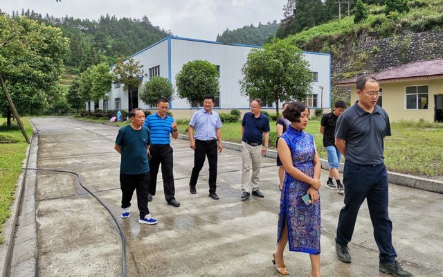 2020年7月3日恩施州黃副州長，來鳳縣杜副縣長來司調(diào)研